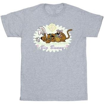 T-shirt Scooby Doo BI51829