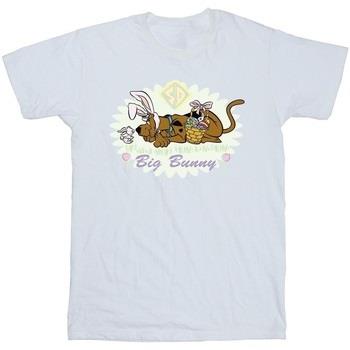 T-shirt Scooby Doo BI51829