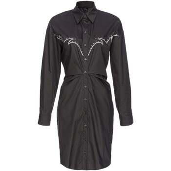 Robe Pinko -