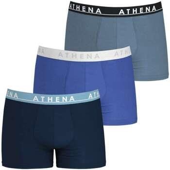 Boxers Athena 145626VTAH23