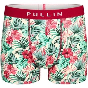 Boxers Pullin Boxer Master REDPALM2