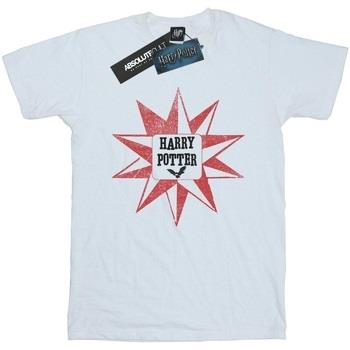 T-shirt enfant Harry Potter BI50160