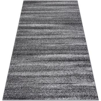 Tapis Rugsx Tapis SILVER SAHARA gris 300x400 cm