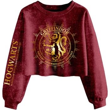Sweat-shirt Harry Potter Gryffindor Constellation