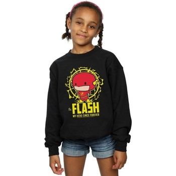 Sweat-shirt enfant Dc Comics My Hero Since Forever