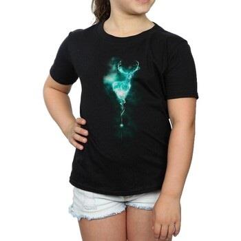 T-shirt enfant Harry Potter Patronus