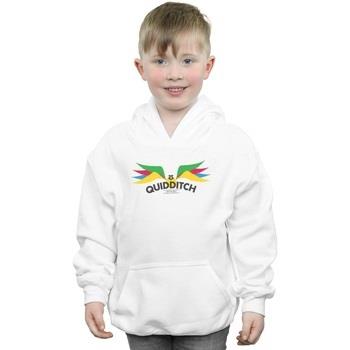 Sweat-shirt enfant Harry Potter Snitch Wings Pastels