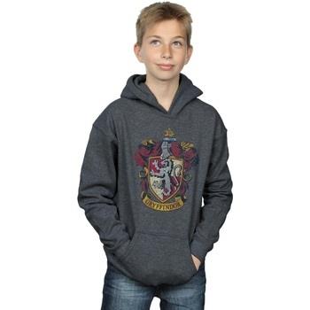 Sweat-shirt enfant Harry Potter Gryffindor Distressed Crest