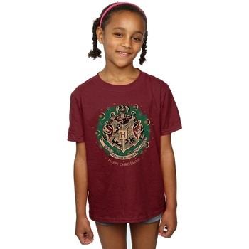 T-shirt enfant Harry Potter BI20946