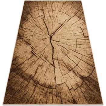 Tapis Rugsx Tapis SILVER TRONKO Arbre Bois noix 160x220 cm