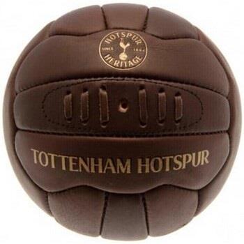 Accessoire sport Tottenham Hotspur Fc TA5922