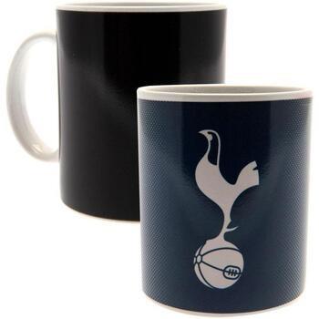 Accessoire sport Tottenham Hotspur Fc TA2679