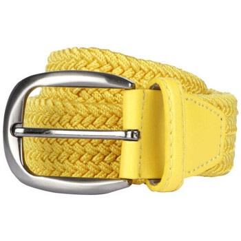 Ceinture Bruce Field Ceinture tressée élastique