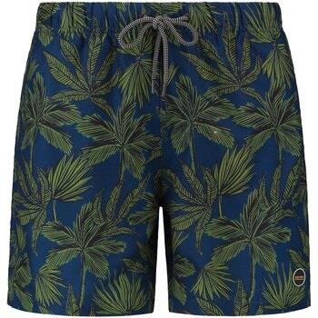 Maillots de bain Shiwi Short de Bain Impression Palms Marine