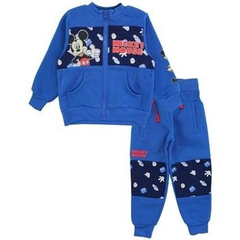 Jeggins / Joggs Jeans Disney Jogging