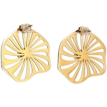 Boucles oreilles Luna Collection 73012