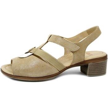 Sandales Ara Femme Chaussures, Sandales nubuck, Confort-1235730BE