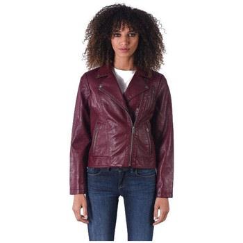 Veste Kaporal Blousons et Vestes Tessy Femme Bordeaux