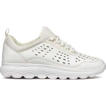 Baskets basses Geox spherica sneakers white