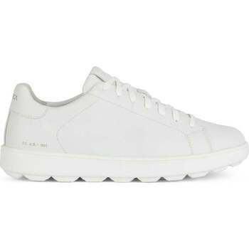 Baskets basses Geox spherica ecub-1 sneakers white