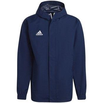 Blouson adidas -