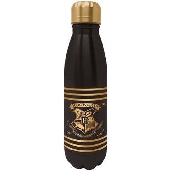 Bouteilles Harry Potter PM3454