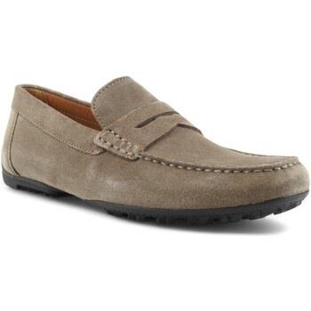 Chaussures Geox Kosmopolis Mocassino Uomo Taupe U35CFB00020C6029