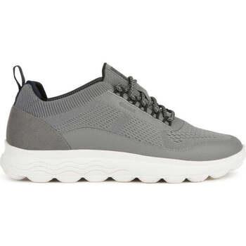 Baskets basses Geox spherica sneakers grey