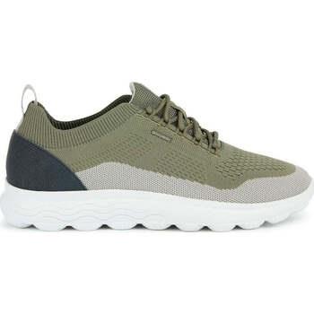 Baskets basses Geox spherica sneakers sage rock