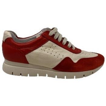 Baskets Chacal CHAUSSURES 6310