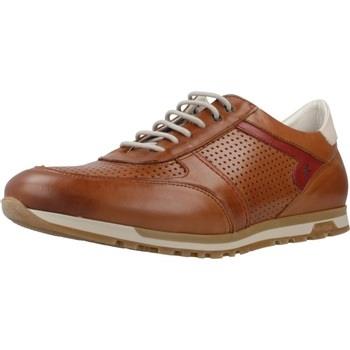 Derbies Fluchos F1188