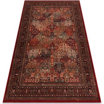 Tapis Rugsx Tapis en laine KASHQAI 4309 300 oriental, 120x170 cm