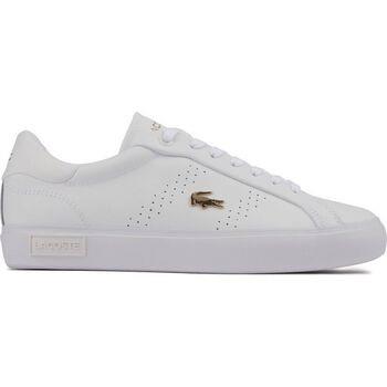 Baskets Lacoste Powercourt Formateurs