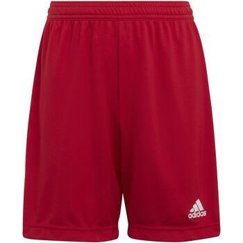 Short enfant adidas Ent22 sho y