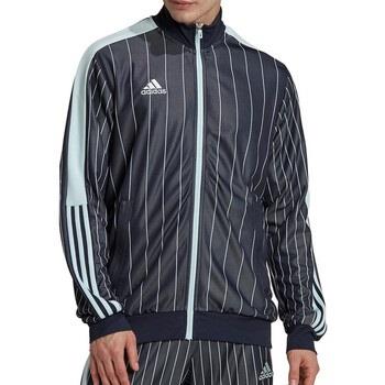 Veste adidas HC1307