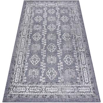 Tapis Rugsx Tapis SIZAL SION Cadre, ornement, vintage 2832 80x150 cm