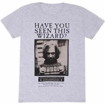 T-shirt Harry Potter HE1697