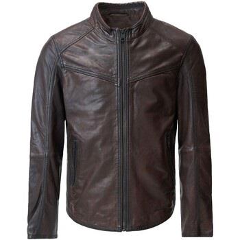 Veste Salsa -