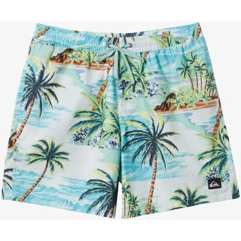 Maillots de bain Quiksilver Everyday Mix 17"