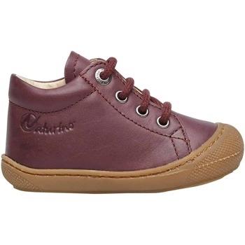 Derbies Naturino Chaussures premiers pas en cuir COCOON