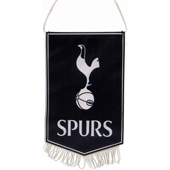 Accessoire sport Tottenham Hotspur Fc TA11534