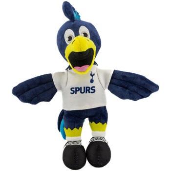 Accessoire sport Tottenham Hotspur Fc TA11548