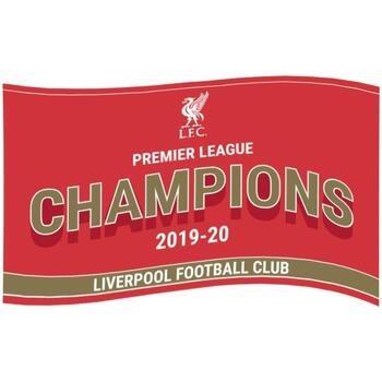 Accessoire sport Liverpool Fc Premier League Champions