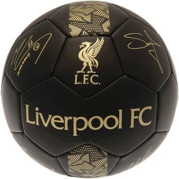 Accessoire sport Liverpool Fc Phantom