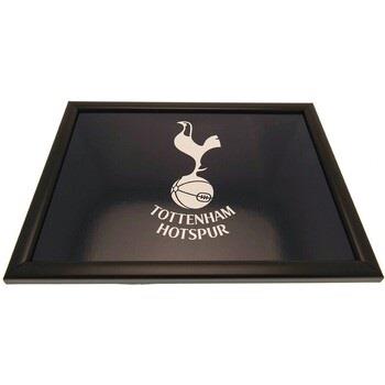 Accessoire sport Tottenham Hotspur Fc TA9557