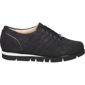 Baskets basses Hassia Sneaker