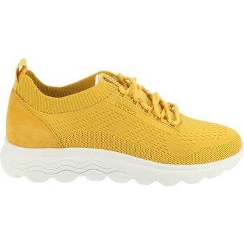 Baskets basses Geox Sneaker