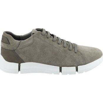 Baskets basses Geox Sneaker