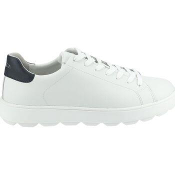 Baskets basses Geox Sneaker