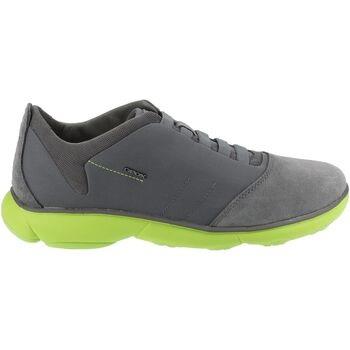 Baskets basses Geox Sneaker